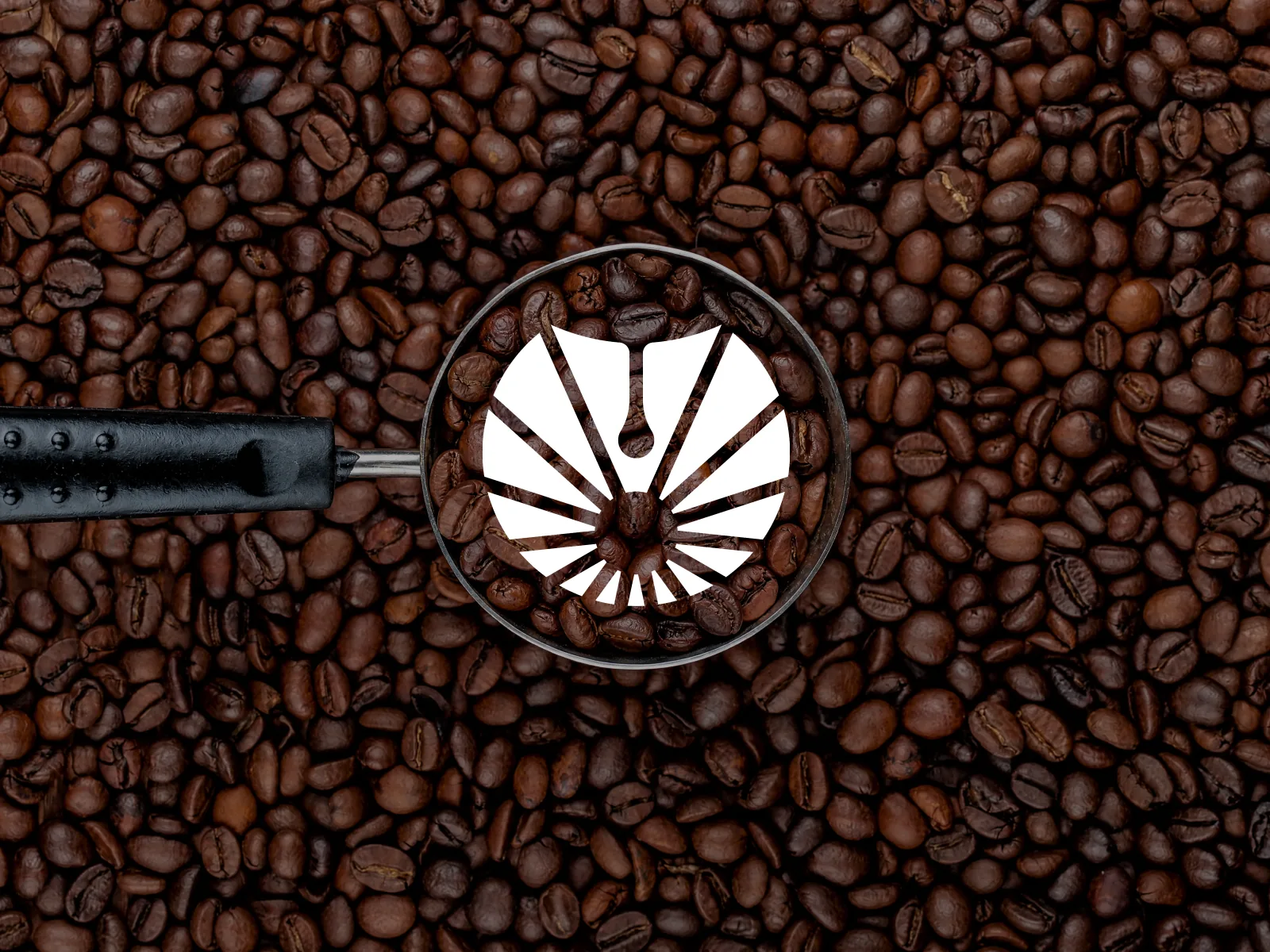 Daybreak — coffee beans and portafilter logo reveal